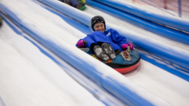 Tobogganing